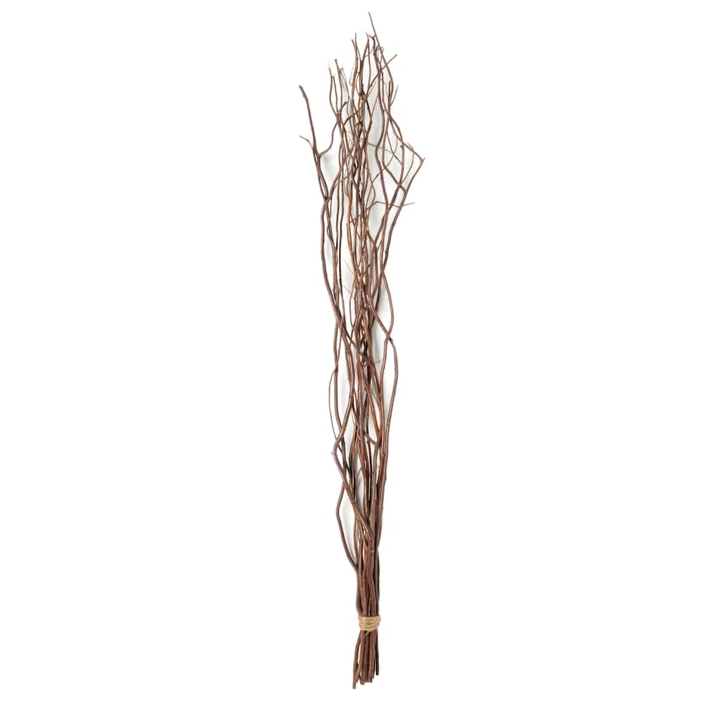 Brand new 🌟 Natural Curly Willow by Ashland® ✨ 3 Brand new 🌟 Natural Curly Willow by Ashland® ✨