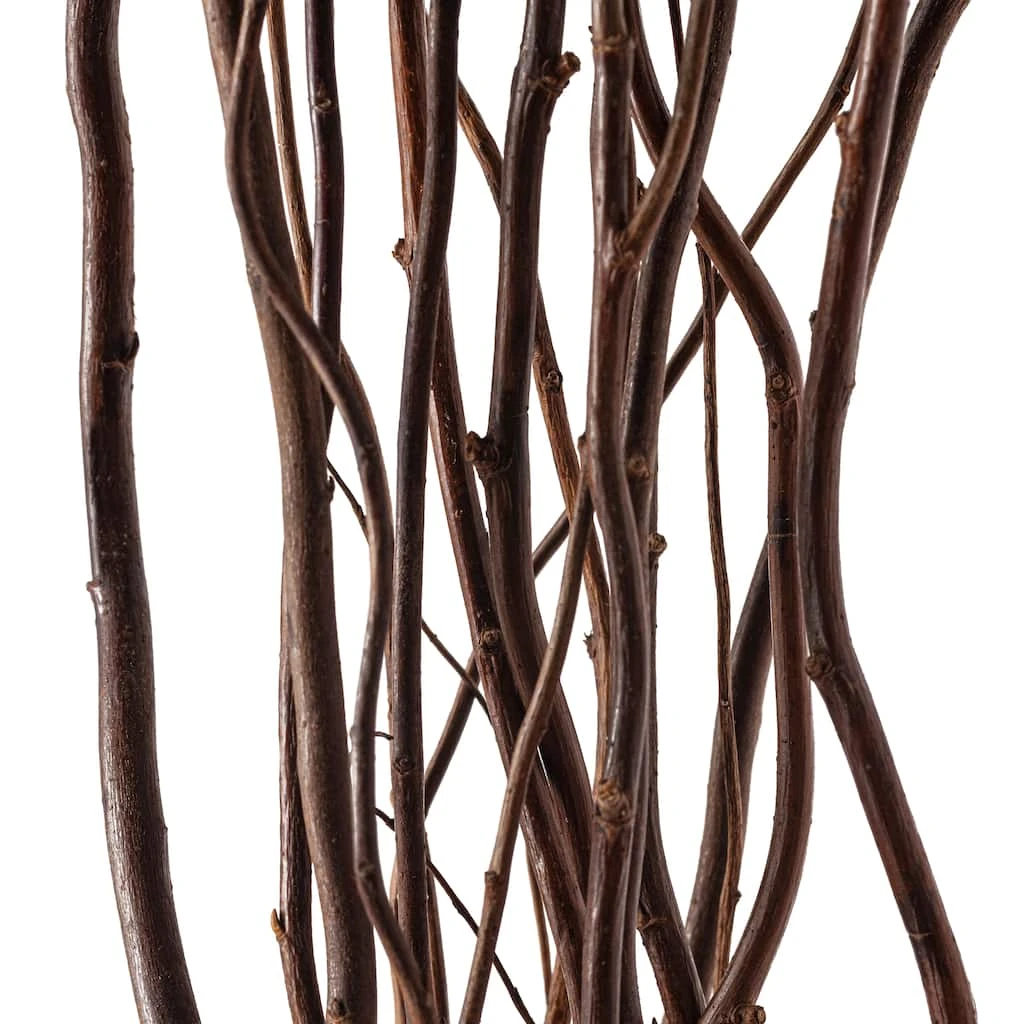 Brand new 🌟 Natural Curly Willow by Ashland® ✨ 4 Brand new 🌟 Natural Curly Willow by Ashland® ✨ - Image 2