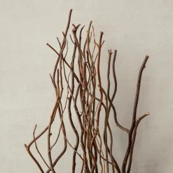 Brand new 🌟 Natural Curly Willow by Ashland® ✨ 8 Brand new 🌟 Natural Curly Willow by Ashland® ✨ -Ashland Shop 10017457 25