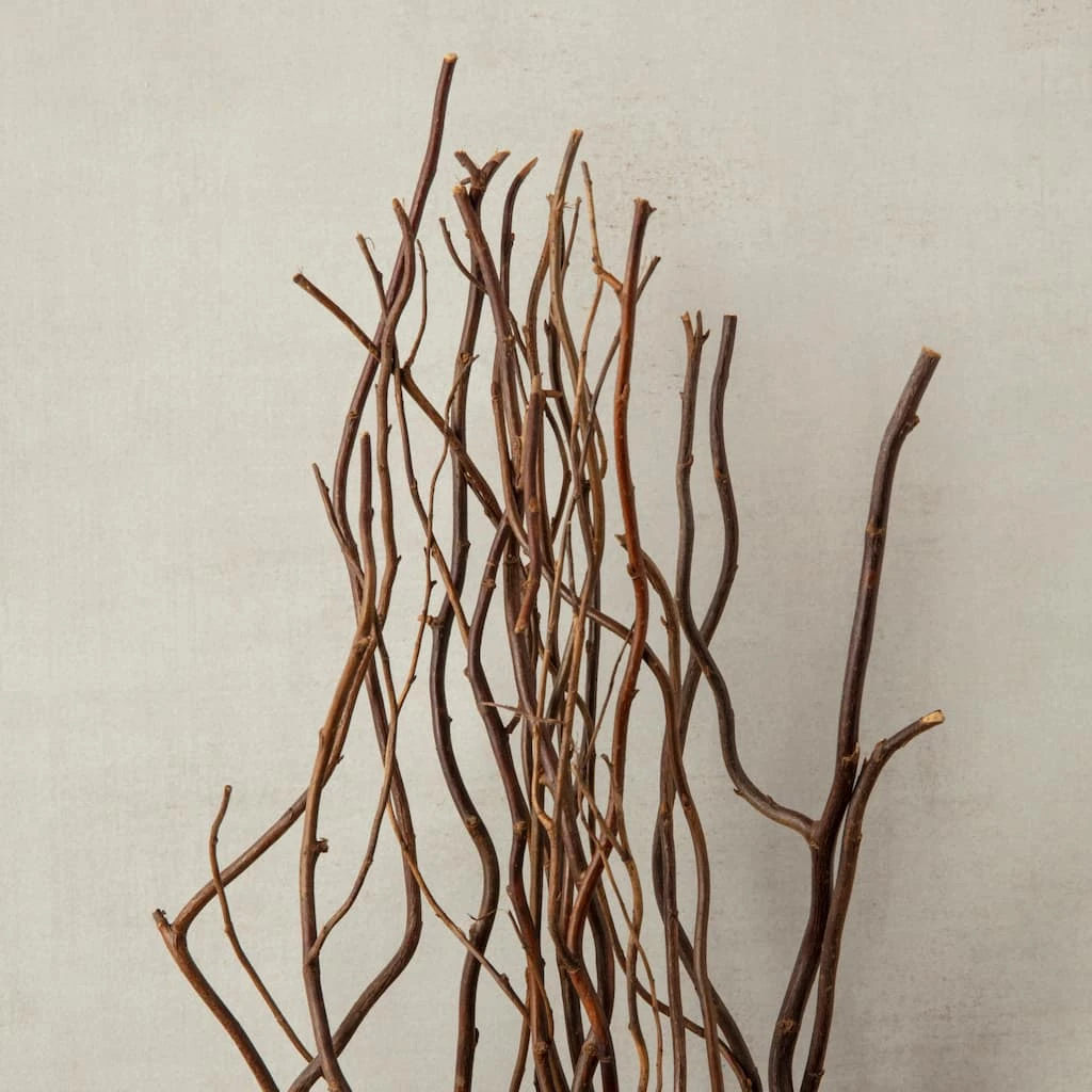 Brand new 🌟 Natural Curly Willow by Ashland® ✨ 5 Brand new 🌟 Natural Curly Willow by Ashland® ✨ - Image 3