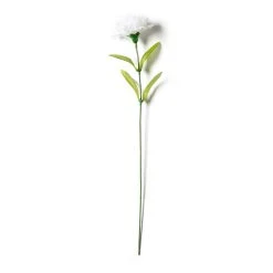 Cheap 🤩 White Carnation Spray by Ashland® 👍 -Ashland Shop 10017878 21