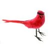 Top 10 ❤️ 24 Pack: Cardinal Bird by Ashland® 🔔 -Ashland Shop 10029902