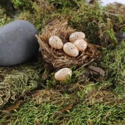 Wholesale 😉 Nature Center Speckled Tan Eggs by Ashland® ⭐ -Ashland Shop 10029911 4