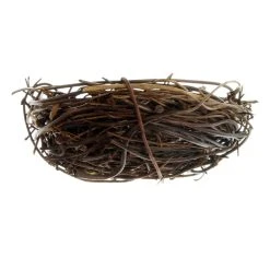 Cheap 🤩 20 Pack: 2.25" Nest by Ashland® ⌛