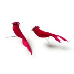 Promo ✔️ Cardinal Birds by Ashland® 😍 -Ashland Shop 10029954 21
