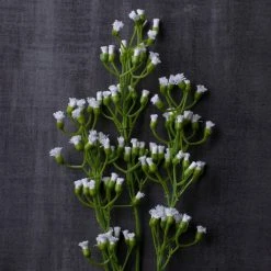 Brand new 👍 Ivory Mini Baby's Breath Spray by Ashland® ✔️ -Ashland Shop 10035159 22