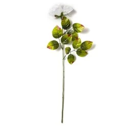 Cheap ✔️ Holland Rose Spray by Ashland® ⭐ -Ashland Shop 10056110 21