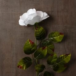 Cheap ✔️ Holland Rose Spray by Ashland® ⭐ -Ashland Shop 10056110 25