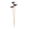 Best Pirce 🎉 Natural Lotus Pods Stem by Ashland® ⌛