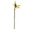 Coupon 👏 12 Pack: Yellow Bird of Paradise Stem by Ashland® 🔔 -Ashland Shop 10066898 1
