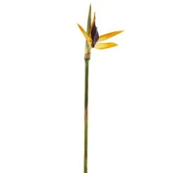 Top 10 ❤️ Tropical Bird of Paradise Stem by Ashland® ✔️ -Ashland Shop 10066898