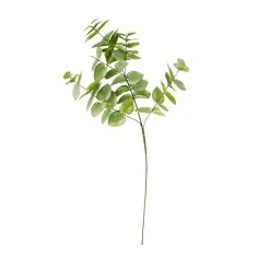 Hot Sale ✨ Eucalyptus Branch by Ashland® 🥰 -Ashland Shop 10067587 30