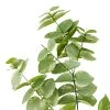 Hot Sale ✨ Eucalyptus Branch by Ashland® 🥰 1 Hot Sale ✨ Eucalyptus Branch by Ashland® 🥰 -Ashland Shop 10067587 31
