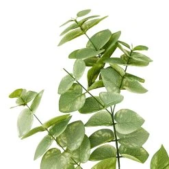 Hot Sale ✨ Eucalyptus Branch by Ashland® 🥰