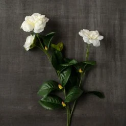 Buy ✔️ Gardenia Spray by Ashland® ⭐ -Ashland Shop 10107972 25