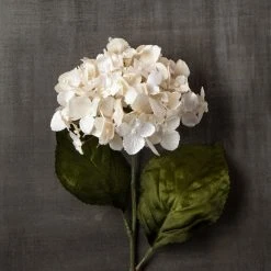 Brand new ✨ Pearl Hydrangea Stem by Ashland® ⭐ 8 Brand new ✨ Pearl Hydrangea Stem by Ashland® ⭐ -Ashland Shop 10110873 25