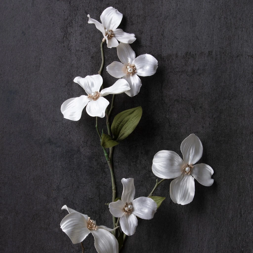 Buy โ Pearl ๐ Dogwood Spray by Ashland® ๐งจ 4 Buy โ Pearl ๐ Dogwood Spray by Ashland® ๐งจ - Image 2