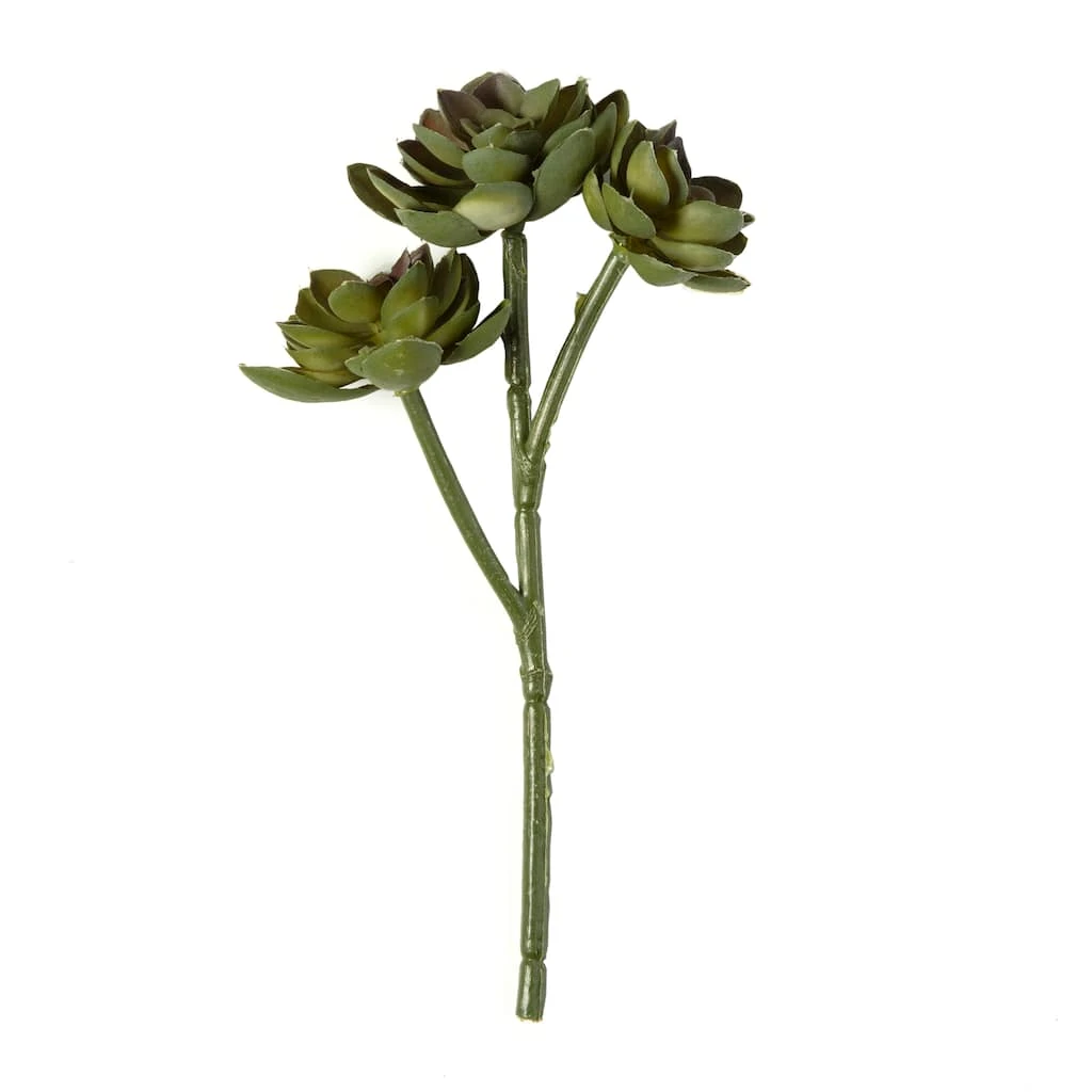 Hot Sale ⭐ Ashland® Succulent Pick 🔥 3 Hot Sale ⭐ Ashland® Succulent Pick 🔥