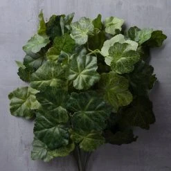 Outlet 🌟 Coral Bell Bush by Ashland® 🔔 -Ashland Shop 10129104 25