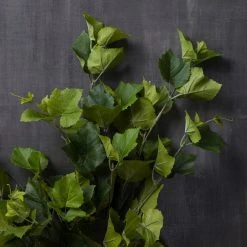 Promo 😉 Green Hanging Grape Leaf Bush by Ashland® 🤩 -Ashland Shop 10131105 22