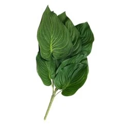 Top 10 ⭐ 12 Pack: Green Hosta Bush by Ashland® 🔔