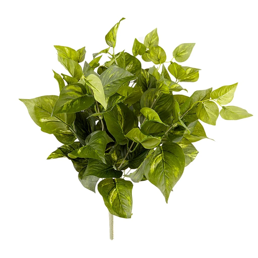Best reviews of π Pothos Bush Real Touch™ Collection by Ashland π 3 Best reviews of π Pothos Bush Real Touch™ Collection by Ashland π