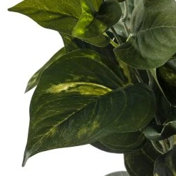Best reviews of π Pothos Bush Real Touch™ Collection by Ashland π 7 Best reviews of π Pothos Bush Real Touch™ Collection by Ashland π -Ashland Shop 10131108 20