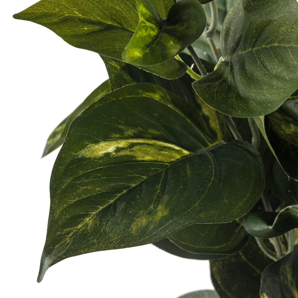 Best reviews of π Pothos Bush Real Touch™ Collection by Ashland π 5 Best reviews of π Pothos Bush Real Touch™ Collection by Ashland π - Image 3