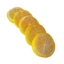 Best Sale ⌛ Assorted Fruit Slice Décor Accent by Ashland® 💯 -Ashland Shop 10131162 4