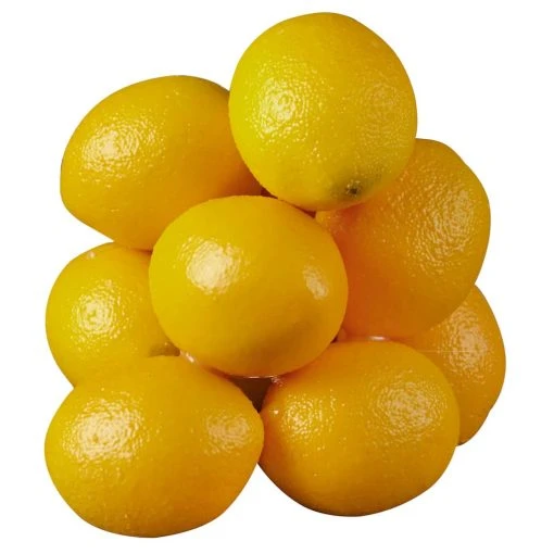 Discount ⭐ 12 Packs: 10 ct. (120 total) Lemons by Ashland® 👍 -Ashland Shop 10131588
