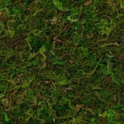 Coupon ✨ Moss Mat by Ashland® 🌟 -Ashland Shop 10135027 22