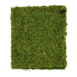 Coupon ✨ Moss Mat by Ashland® 🌟 -Ashland Shop 10135027 3