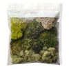Discount 🧨 Moss Variety Pack by Ashland® ❤️ -Ashland Shop 10135036 20