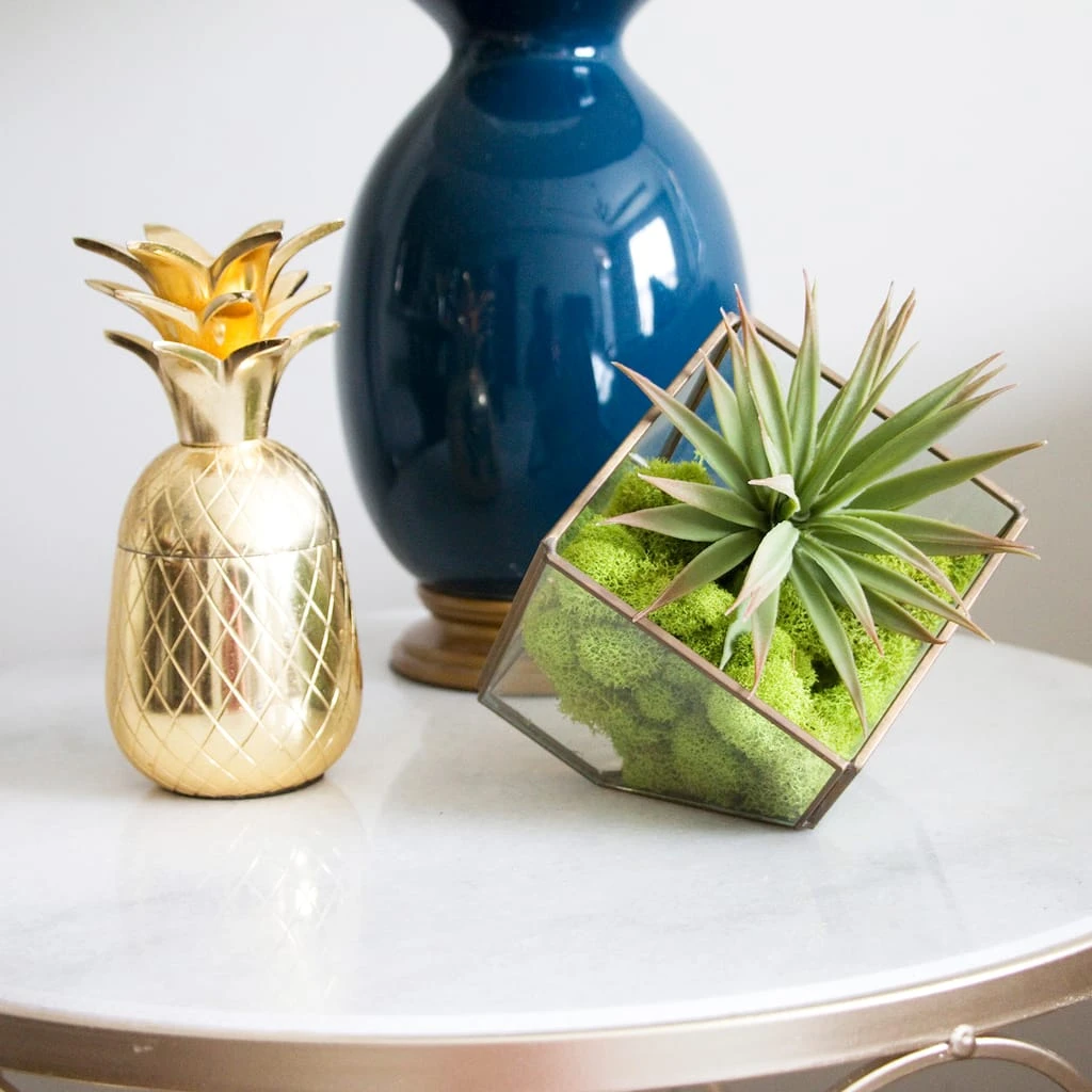 Brand new 💯 Ashland® Reindeer Moss 🤩 4 Brand new 💯 Ashland® Reindeer Moss 🤩 - Image 2