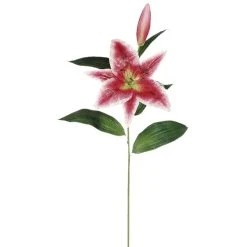 Best deal 👏 12 Pack: Rubrum Lily Spray by Ashland® ✔️