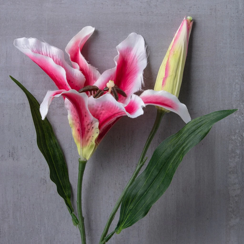 Budget ✔️ Rubrum Lily Spray by Ashland® ⭐ 4 Budget ✔️ Rubrum Lily Spray by Ashland® ⭐ - Image 2