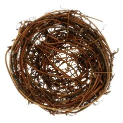 Cheapest ⭐ 24 Pack: Brown Bird Nest by Ashland® 🥰