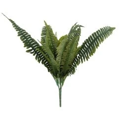Wholesale 🎁 Boston Fern Bush Fern Collection by Ashland® 💯