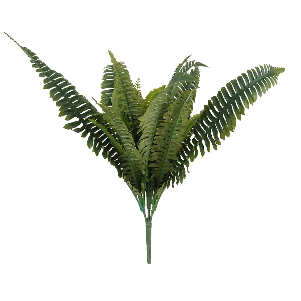 Wholesale 🎁 Boston Fern Bush Fern Collection by Ashland® 💯 3 Wholesale 🎁 Boston Fern Bush Fern Collection by Ashland® 💯