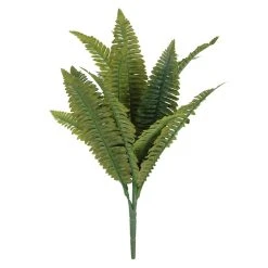 Promo ✨ Boston Fern Bush Fern Collection by Ashland® 🎉