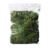 Top 10 ✨ Preserved Forest Moss by Ashland® 😀 -Ashland Shop 10204602