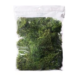 Top 10 ✨ Preserved Forest Moss by Ashland® 😀