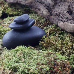 Top 10 ✨ Preserved Forest Moss by Ashland® 😀 -Ashland Shop 10204602 3