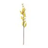 Best Pirce ✨ Forsythia Branch Floral Essentials by Ashland® ⌛