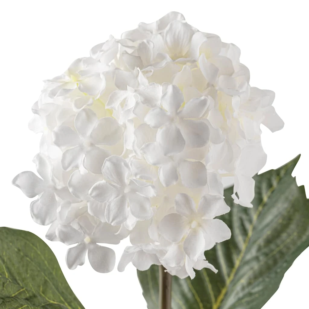 Coupon 👏 Hydrangea Spray by Ashland® 🎉 4 Coupon 👏 Hydrangea Spray by Ashland® 🎉 - Image 2