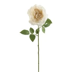 Top 10 💯 12 Pack: White Sophia Rose Stem by Ashland® ❤️