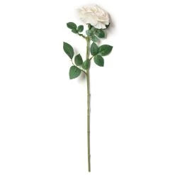 Cheap 🌟 White Sophia Rose Stem by Ashland® 😉 -Ashland Shop 10213470 21