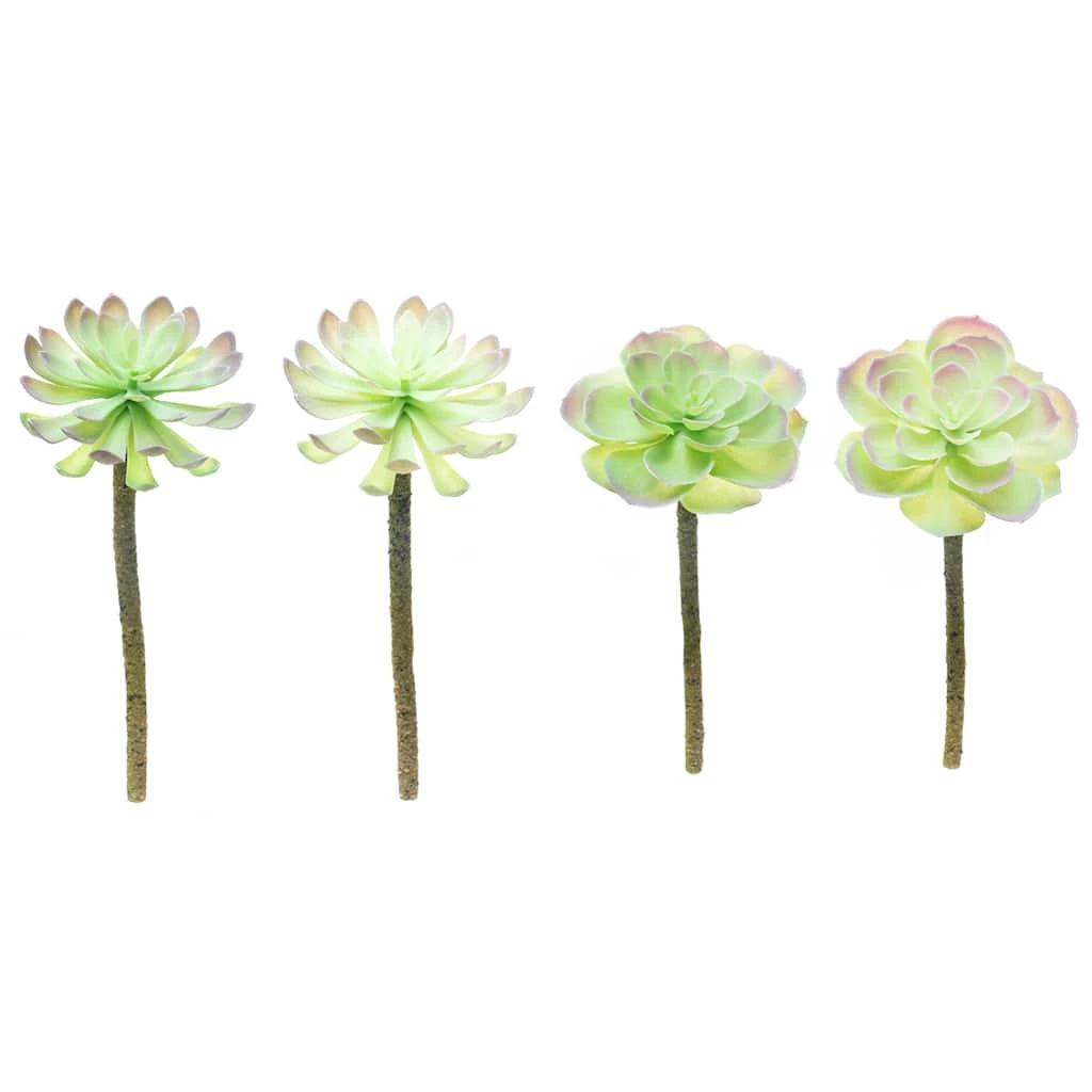 Budget β 12 Pack: Assorted Red Tipped Succulent Pick by Ashland® π 3 Budget β 12 Pack: Assorted Red Tipped Succulent Pick by Ashland® π