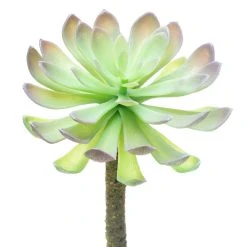 Budget β 12 Pack: Assorted Red Tipped Succulent Pick by Ashland® π 11 Budget β 12 Pack: Assorted Red Tipped Succulent Pick by Ashland® π -Ashland Shop 10229986 2