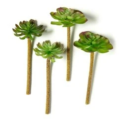 Best deal 👍 Assorted Red Tipped Succulent Pick by Ashland® 🌟